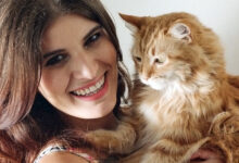 Bethany Cosentino’s Pet Cat And Best Coast Album Cover Star, Snacks, Has Passed Away, Yours Truly, News, May 28, 2023