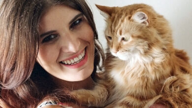 Bethany Cosentino’s Pet Cat And Best Coast Album Cover Star, Snacks, Has Passed Away, Yours Truly, Bethany Cosentino, April 25, 2024