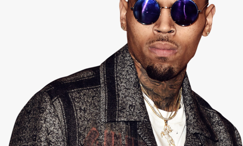 Chris Brown Biography: Age, Net Worth, Tours, Girlfriend, Ex-Girlfriends, Mother, Movies, Children &Amp; Frequently Asked Questions, Yours Truly, Artists, December 4, 2022