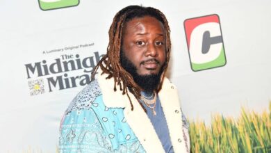 At The Wiscansin Fest, T-Pain Performs His Unreleased &Quot;Death Of Auto-Tune&Quot; Response, Yours Truly, T-Pain, June 10, 2023