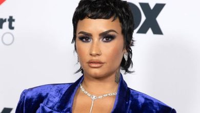 During Their Sobriety, Demi Lovato Discusses &Quot;Radical Acceptance&Quot;, Yours Truly, Demi Lovato, December 4, 2022