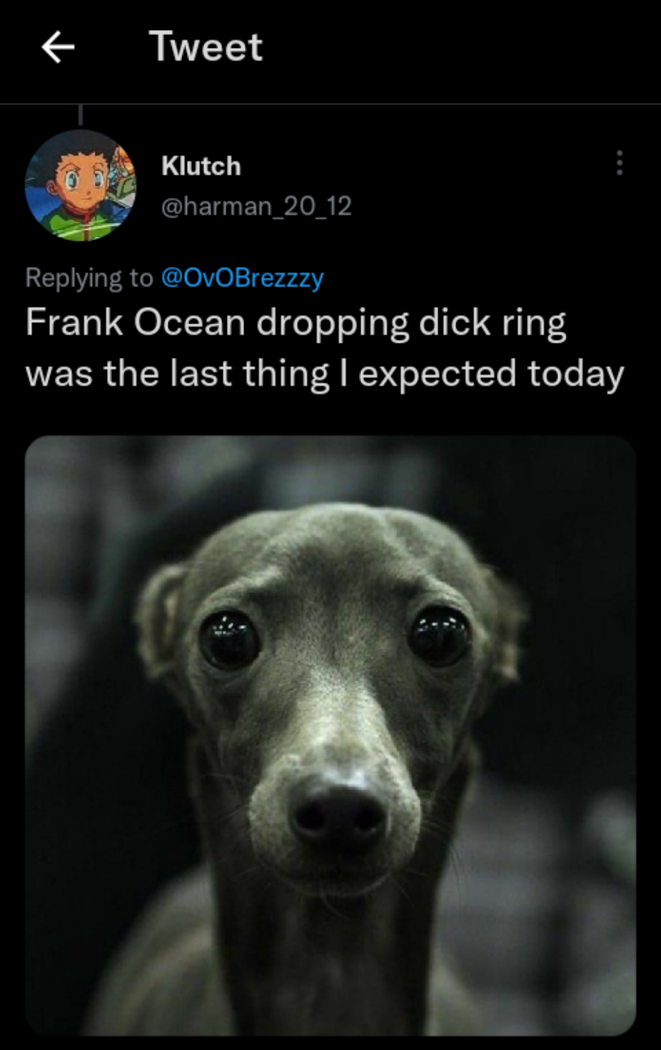 Fans React As Frank Ocean Unveiled A $21,000 Penis Ring With A Naked Shot, Yours Truly, News, January 29, 2023