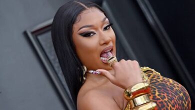Megan Thee Stallion Unleashed &Quot;Boa&Quot; With Cryptic Teaser, Yours Truly, News, May 10, 2024