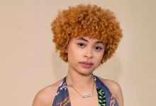 Ice Spice Biography: Real Name, Age, Height, Parents, Net Worth, Boyfriend, Ethnicity &Amp; Siblings, Yours Truly, Artists, November 29, 2022