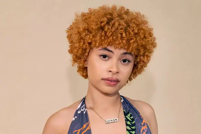 Ice Spice Biography: Real Name, Age, Height, Parents, Net Worth, Boyfriend, Ethnicity &Amp; Siblings, Yours Truly, Artists, February 9, 2023