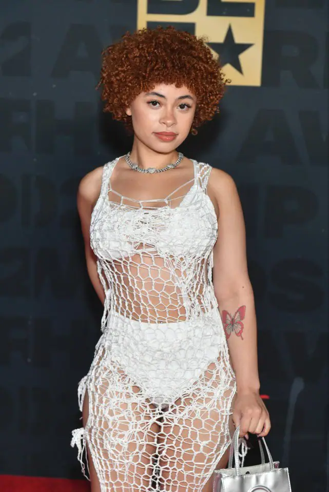 Ice Spice Biography: Real Name, Age, Height, Parents, Net Worth, Boyfriend, Ethnicity &Amp; Siblings, Yours Truly, Artists, February 9, 2023