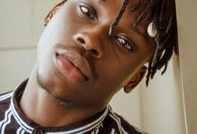 Fireboy Dml Biography: Age, Real Name, Record Label, Girlfriend, Net Worth &Amp; Education, Yours Truly, Artists, February 22, 2024