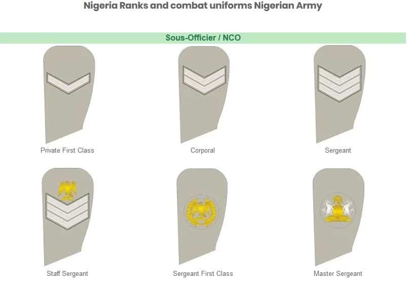 Nigerian Army: Ranks, Salary, Website, Logo, Headquarters, Recruitment &Amp; Shortlist Process, Yours Truly, Articles, June 4, 2023