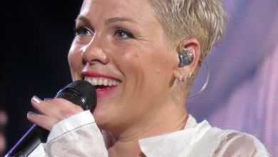 Pink Returns With ‘Trustfall’, Album Drops On 17Th February, Yours Truly, News, January 29, 2023