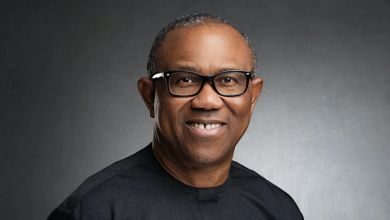 Peter Obi Wow Nigerians In Abuja, Yours Truly, Labour Party, February 25, 2024