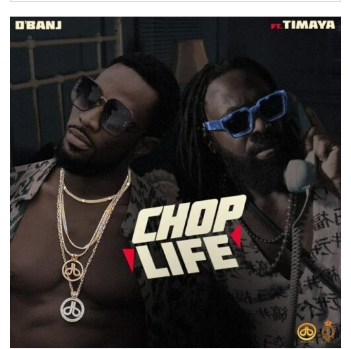 D'Banj Features Timaya On &Quot;Chop Life&Quot;, Yours Truly, News, March 23, 2023