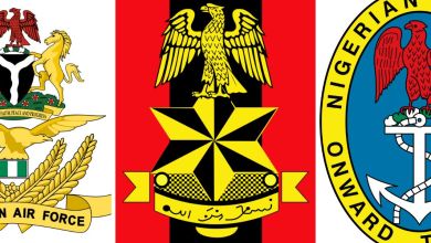 The Three Nigerian Armed Forces And Their Roles, Yours Truly, The Nigerian Navy, November 29, 2023