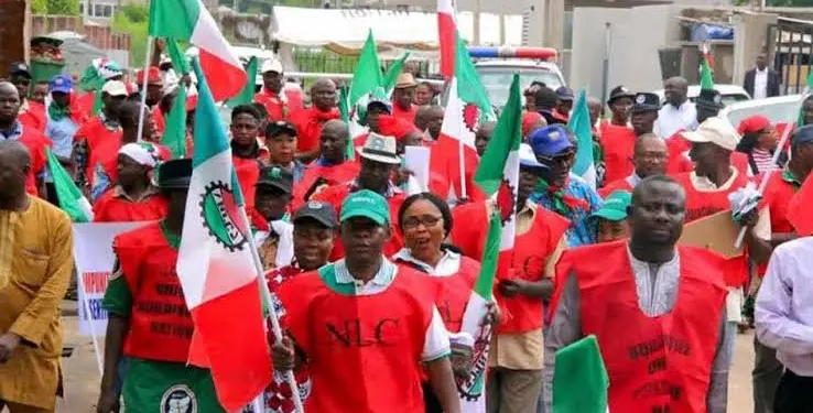 Breaking: Nlc Declares Nationwide Strike; Laments Cash Crunch, Yours Truly, News, February 26, 2024
