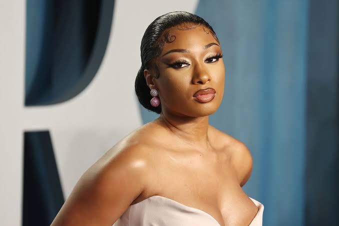 Megan Thee Stallion Was Out-Twerked By A Male Fan, And At The Cmas, Later Linked Up With Shania Twain, Yours Truly, News, March 3, 2024