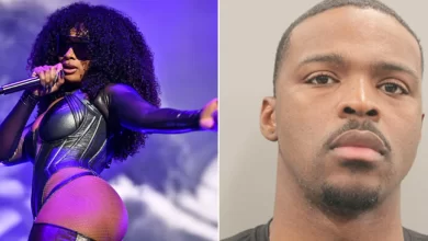 Man Arrested For Impersonating Police Officer To Get Into Megan Thee Stallion Concert, Yours Truly, Police Force, February 25, 2024