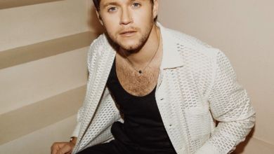Niall Horan Releases Feverish Anthem 'Meltdown' From Upcoming Album 'The Show', Yours Truly, Niall Horan, November 29, 2023