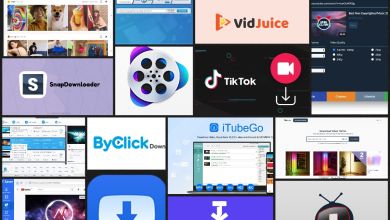 Best 10 Websites To Download Tiktok Videos, Yours Truly, Snapdownloader, June 8, 2023