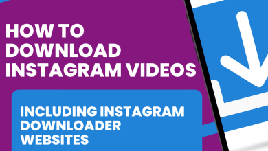 Best 10 Websites To Download Video From Instagram, Yours Truly, Instadownloader, March 2, 2024