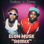 Song Review: 'Elon Musk' Remix By Shallipopi &Amp; Zlatan, Yours Truly, News, February 28, 2024