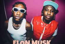 Song Review: 'Elon Musk' Remix By Shallipopi &Amp; Zlatan, Yours Truly, Reviews, June 5, 2023