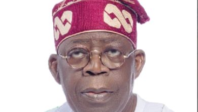 Supreme Court Hears Appeals Against President Tinubu'S Victory, Yours Truly, Bola Ahmed Tinubu, December 1, 2023