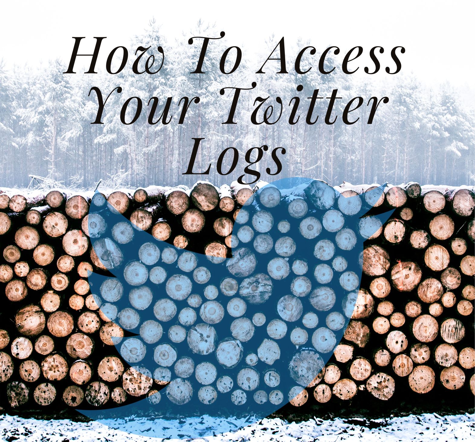How To Access Your Twitter Logs, Yours Truly, Articles, February 26, 2024