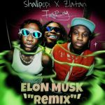 New 'Elon Musk' Remix Has Fireboy Dml Joining Shallipopi And Zlatan In Collabo, Yours Truly, Top Stories, September 24, 2023