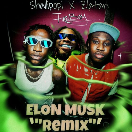 New 'Elon Musk' Remix Has Fireboy Dml Joining Shallipopi And Zlatan In Collabo, Yours Truly, News, December 4, 2023