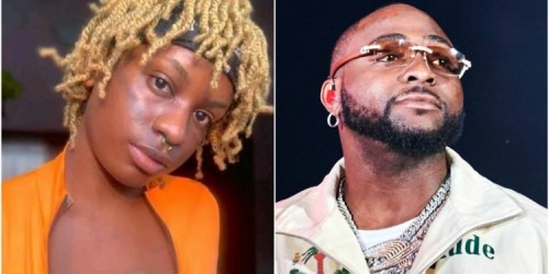 Chisom Flower Apologizes To Davido And Nigerians For Her &Quot;Actions&Quot;; Says She &Quot;Lost Her Job&Quot;, Yours Truly, News, April 29, 2024