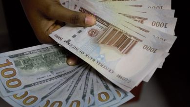 Amidst Volatility, Naira Gains Ground Against The Dollar, Yours Truly, Naira, September 23, 2023