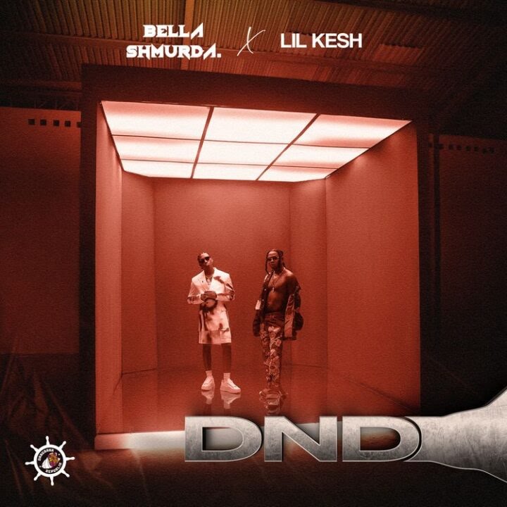 Bella Shmurda And Lil Kesh Switch To &Quot;Dnd&Quot; Mode For Their New Single, Yours Truly, News, May 12, 2024