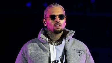 Chris Brown Gets Minor Victory In $71 Million Dog Attack Case As Trial Is Rescheduled, Yours Truly, Chris Brown, October 4, 2023