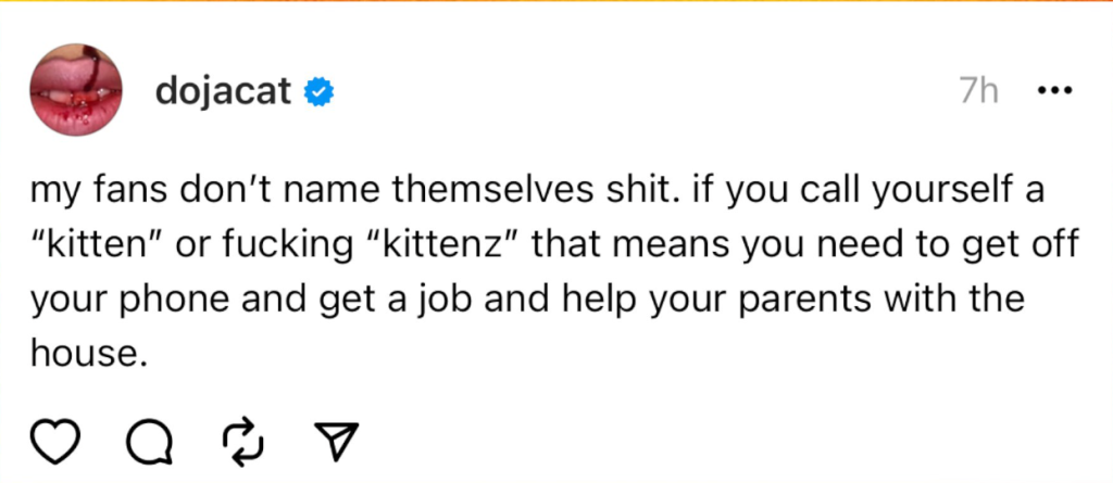Doja Cat Faces Fanbase Friction Over 'Kittenz' Debate, Yours Truly, News, February 24, 2024