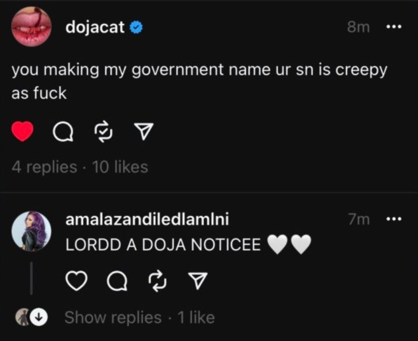 Doja Cat Faces Fanbase Friction Over 'Kittenz' Debate, Yours Truly, News, February 24, 2024