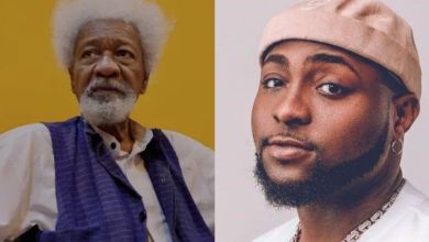 Soyinka Defends Davido; Says &Quot;He Owes No One Any Apologies!&Quot;, Yours Truly, Wole Soyinka, April 28, 2024