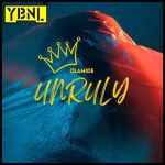 Olamide Reveals Tracklist For 'Unruly' Album As Rema, Bnxn, &Amp;Amp; Others Feature, Yours Truly, News, December 1, 2023