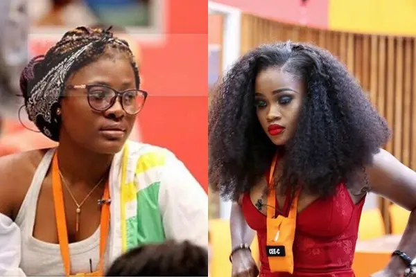 Big Brother Naija All-Stars 2023: Cee-C Reveals She &Quot;Still Doesn'T Like Alex&Quot; To Whitemoney Following Recent Burst-Up, Yours Truly, Top Stories, September 24, 2023