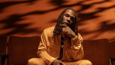 Another Milestone As Burna Boy Becomes World'S Most Followed Artist, Yours Truly, Audiomack, April 19, 2024