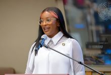 Dj Cuppy'S Call To Global Youth At The Un, Yours Truly, News, December 1, 2023