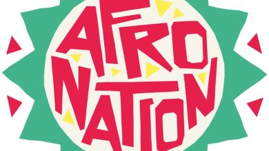 Afro Nation Nigeria 2023 Disheartening Cancellation, Yours Truly, Afro Nation, April 30, 2024