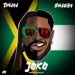 Timaya - Joko (Feat. Shaggy), Yours Truly, Artists, February 24, 2024