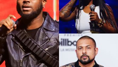 King Promise'S 'Terminator' Gets Remix With Sean Paul &Amp; Tiwa Savage, Yours Truly, Sean Paul, February 25, 2024