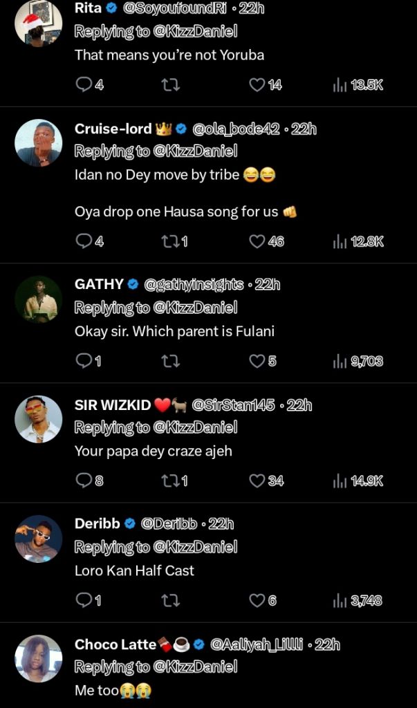 Kizz Daniel Stuns Netizens; Reveals His Fulani Roots In Tweet, Yours Truly, News, May 17, 2024