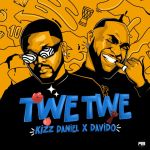 Kizz Daniel And Davido Partner Up For The Exciting &Quot;Twe Twe&Quot; Remix, Yours Truly, News, March 1, 2024